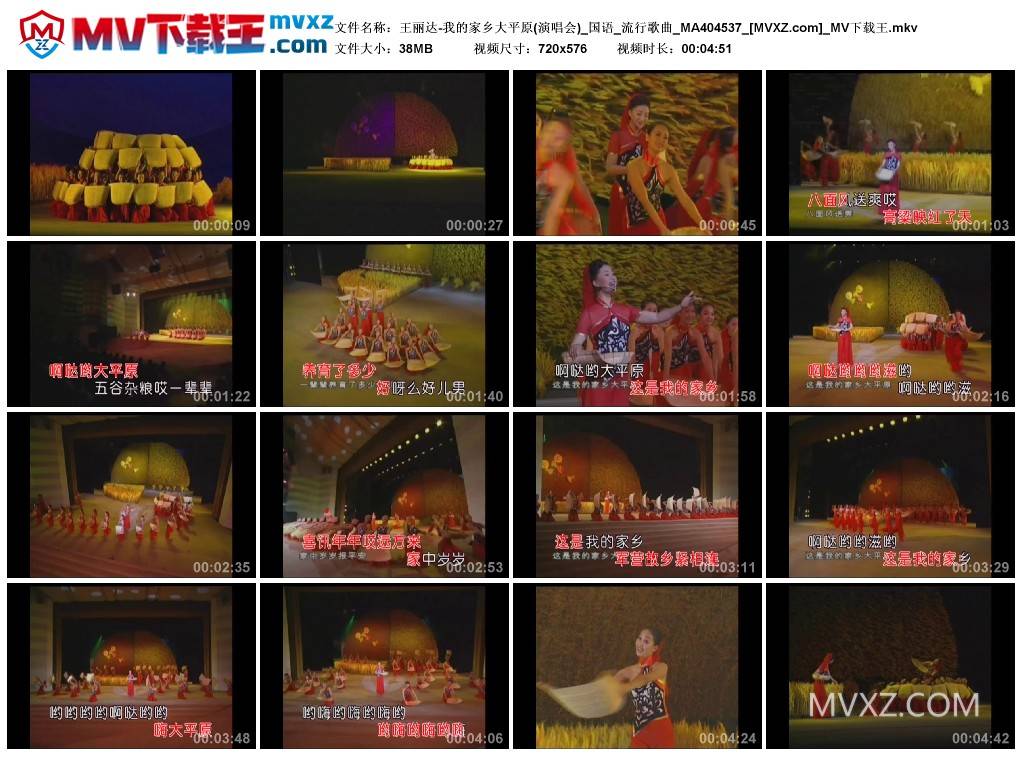 王丽达-我的家乡大平原(演唱会)_国语_流行歌曲_MA404537